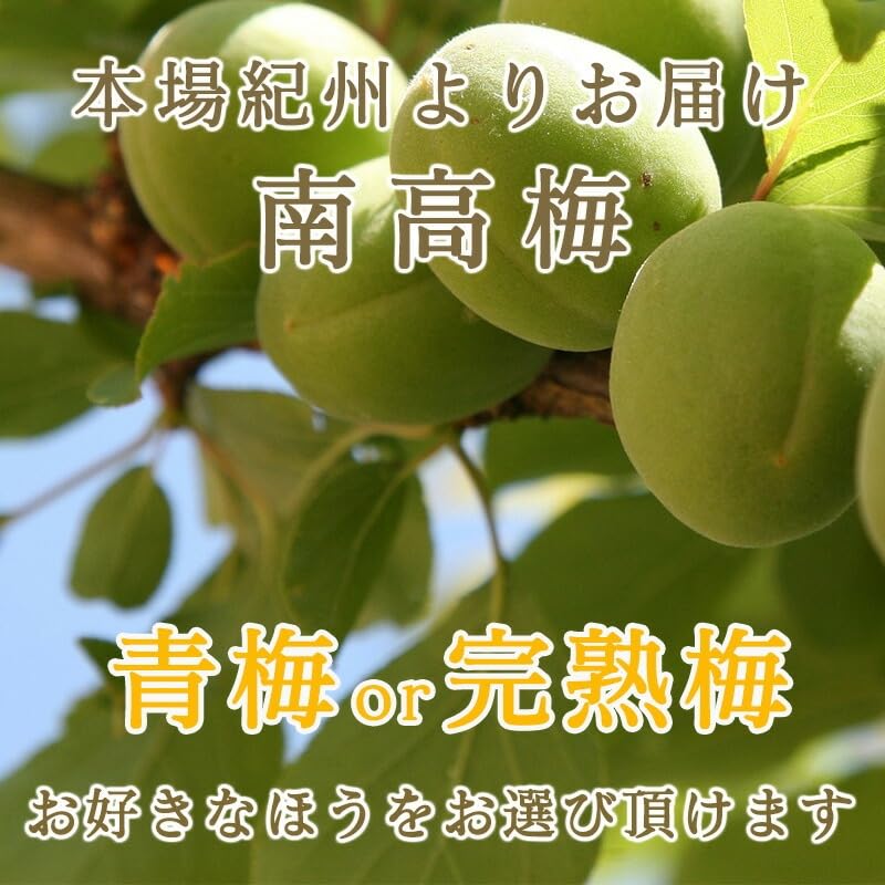Amazon.co.jp: [みさわのやさい] 南高梅 生梅 完熟梅 訳あり サイズ